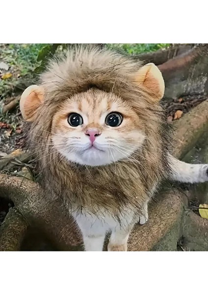 Aslan Yelesi Kedi Kostümü fırsatları