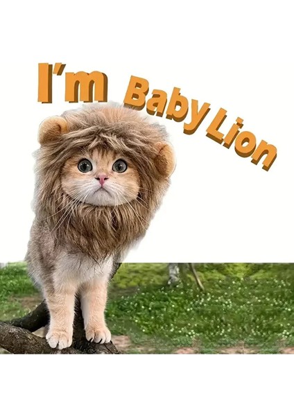 Aslan Yelesi Kedi Kostümü indirimleri