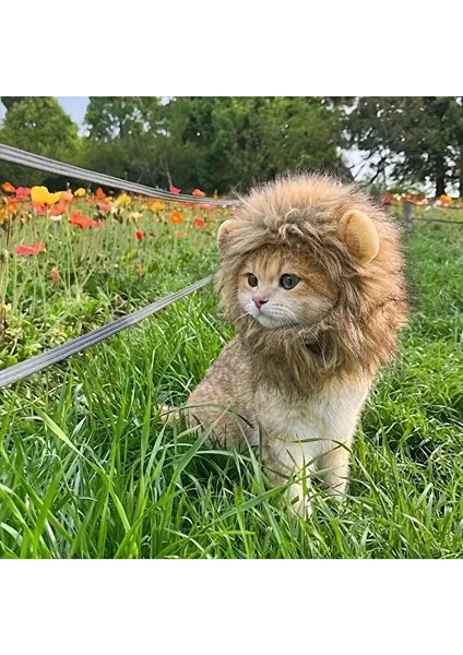 Aslan Yelesi Kedi Kostümü