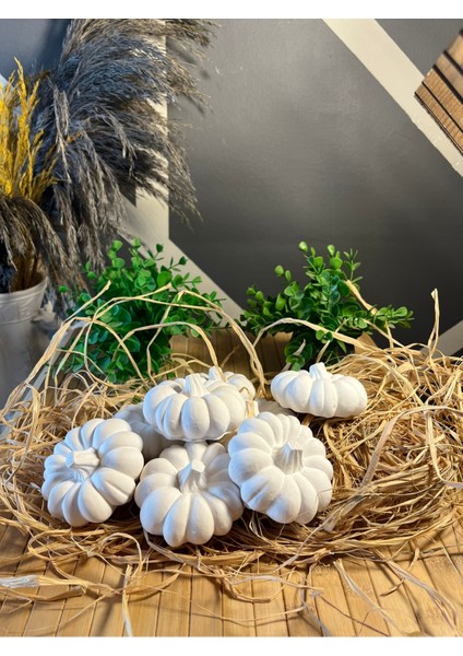 8 Li Xxl Kabak Taş Boyama Etkinlik Oyuncak Çocuk Gelişimi Taş Boyama Seti Süsleme Sanatı fiyatları