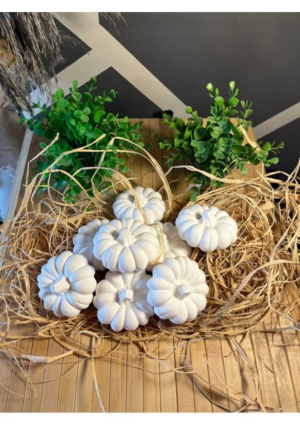 8 Li Xxl Kabak Taş Boyama Etkinlik Oyuncak Çocuk Gelişimi Taş Boyama Seti Süsleme Sanatı modelleri