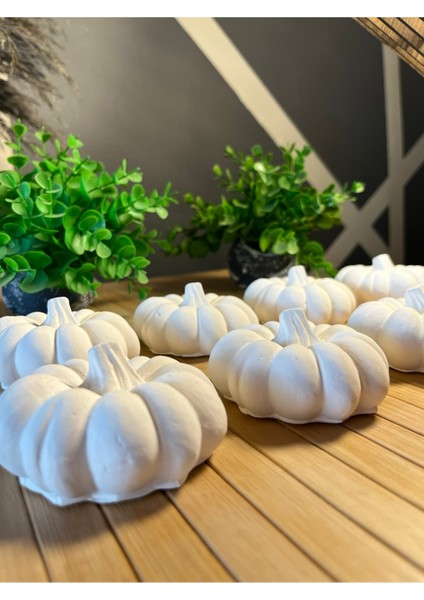 8 Li Xxl Kabak Taş Boyama Etkinlik Oyuncak Çocuk Gelişimi Taş Boyama Seti Süsleme Sanatı fırsatları