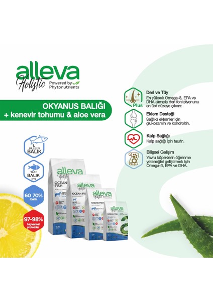 Holistik Balıklı Tahılsız Büyük Irk Yavru Köpek Maması 2 Kg fiyatları