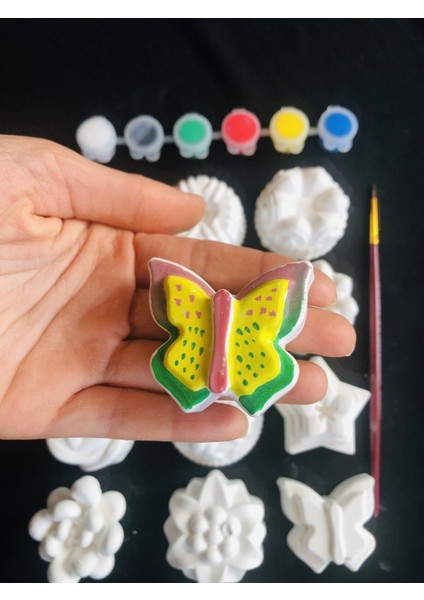 30 Adet (3d) Xl,l, Mini Taş Boyama Seti Deniz Hayvanları Çiçekler Anne ve Çocuk Etkinliği Taş Boyama