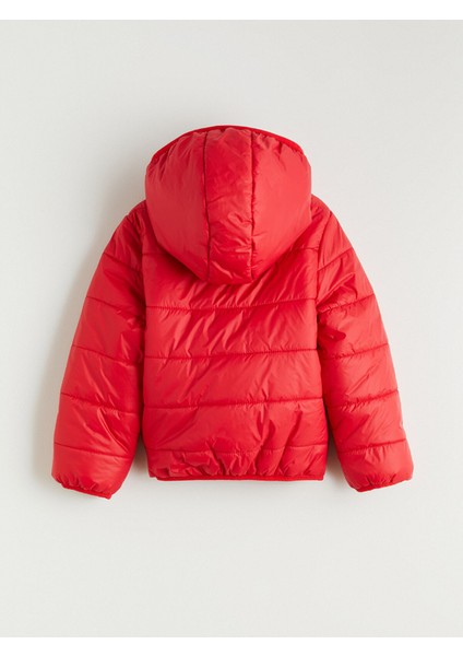 Yeni Sezon Kapüşonlu Kız Çocuk Şişme Mont modelleri