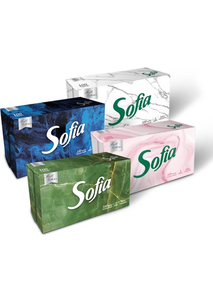 Kutu Mendil 100'LÜ 2 Adet