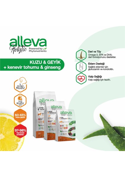 Holistik Kuzulu & Geyikli Tahılsız Küçük Irk Yetişkin Köpek Maması 12 Kg fiyatları