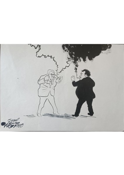 Wonsoo Yi 35X25CM Orijinal Karikatür Tablo modelleri