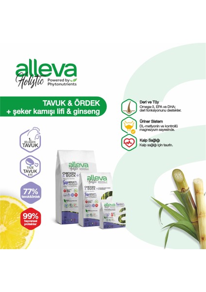 Holistik Hairball (Tüy Yumağı) Tavuklu & Ördekli Tahılsız Yetişkin Kedi Maması 400 gr fiyatları