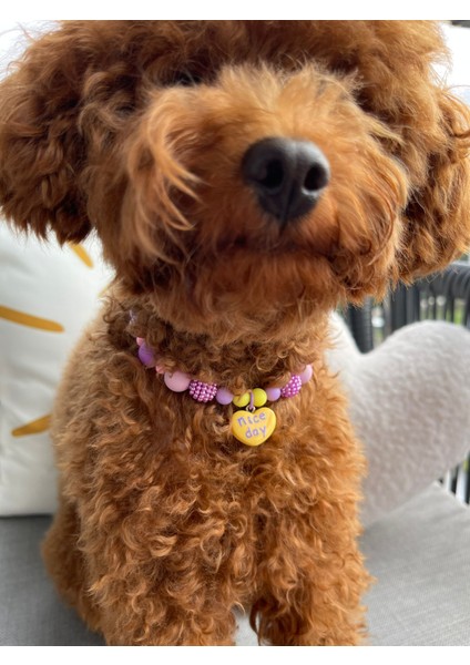 Mor ve Sarı Sevimli Köpek Kolyesi/tasması fırsatları