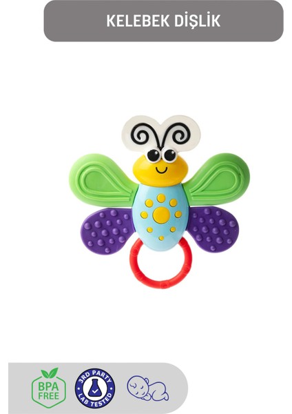 Kelebek Diş Kaşıyıcı, Dişlik