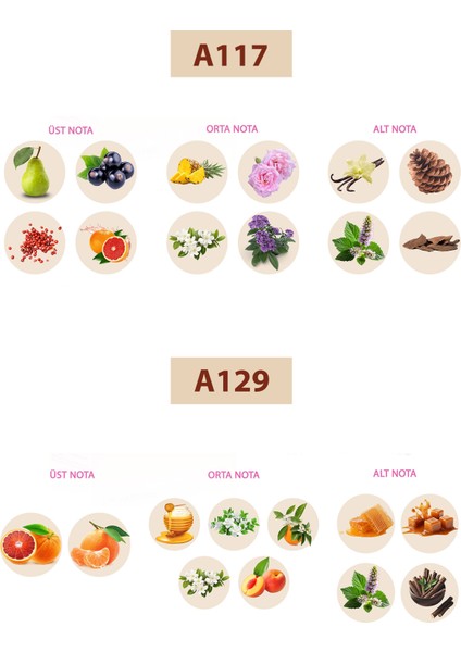 Bacera A117 Floral Kadın Parfüm 50ML Edp A129 Floral Kadın Parfüm 50ML Edp fiyatları