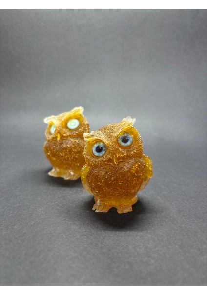 Sitrin Baykuş Orgoniti