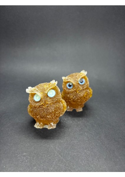 Sitrin Baykuş Orgoniti fiyatları