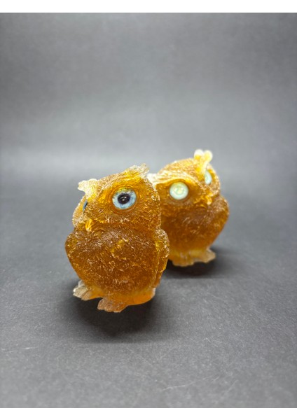 Sitrin Baykuş Orgoniti fırsatları