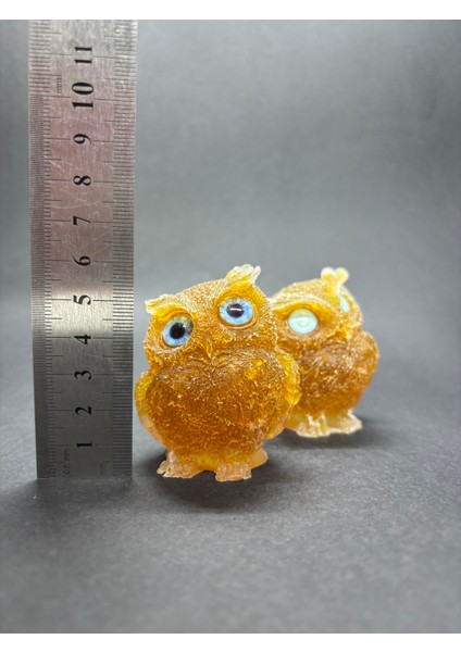 Sitrin Baykuş Orgoniti indirimleri