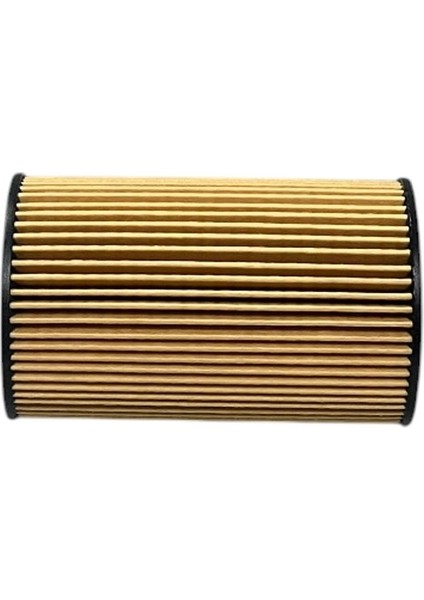 Hyundai I30 1.4d 66 Kw, 1.6d 66-70-81-85-94-100 Kw 2007-2018 Yağ Filtresi modelleri