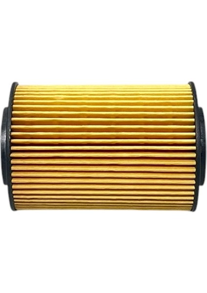 Kia Ceed 2.0 Crdi 100-103 Kw 2006-2012 Yağ Filtresi fırsatları