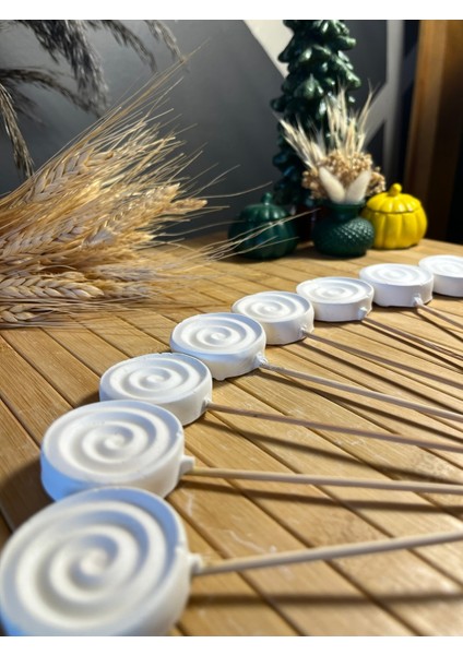 10 Adet Çiçek Taş Boyama Seti Anne ve Çocuk Etkinliği Taş Boyama Saksı Süsleme Çiçek Süsleme fiyatları