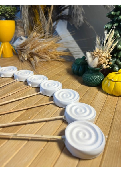 10 Adet Çiçek Taş Boyama Seti Anne ve Çocuk Etkinliği Taş Boyama Saksı Süsleme Çiçek Süsleme modelleri