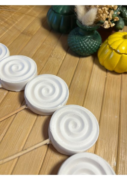 10 Adet Çiçek Taş Boyama Seti Anne ve Çocuk Etkinliği Taş Boyama Saksı Süsleme Çiçek Süsleme fırsatları