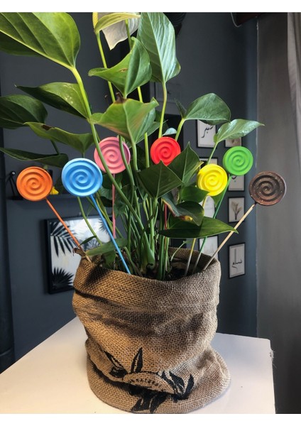 10 Adet Çiçek Taş Boyama Seti Anne ve Çocuk Etkinliği Taş Boyama Saksı Süsleme Çiçek Süsleme indirimleri