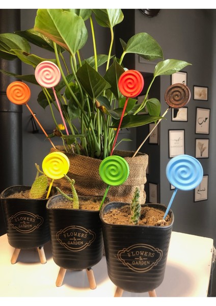 10 Adet Çiçek Taş Boyama Seti Anne ve Çocuk Etkinliği Taş Boyama Saksı Süsleme Çiçek Süsleme