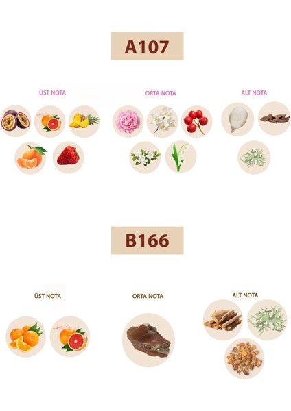 Bacera A107 Floral Kadın Parfüm 50ML Edp B166 Woddy Erkek Parfüm 50ML Edp fiyatları