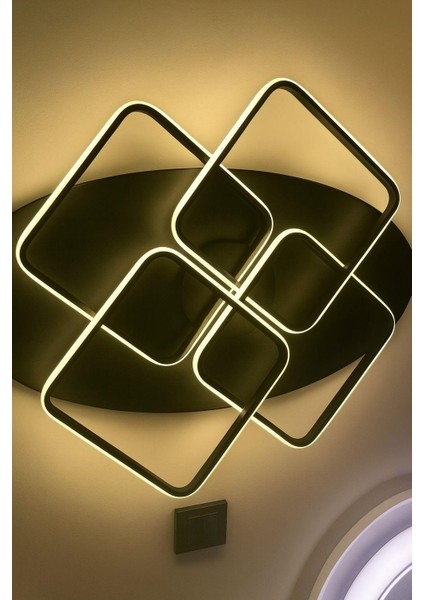 Ferluce Plof 30*20X2