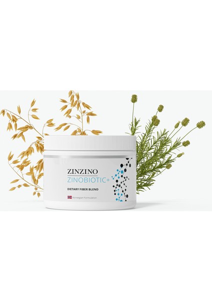 Zınzıno 2 Kutu Zınobıotıc fiyatları