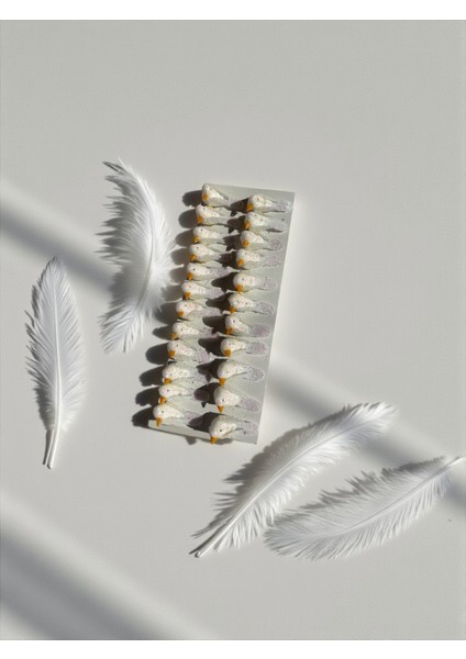 Köpük Kuş Figürü Minik Simli Kuş - 22 Adet