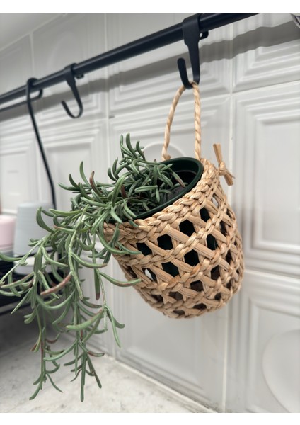 Hasır Sepet,kaktüs Sepet