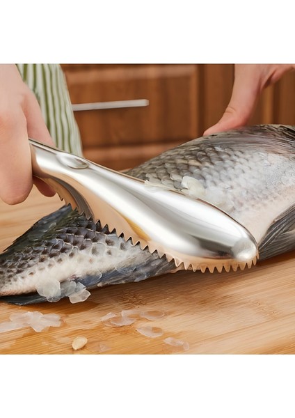 Pratik Balık Pulu Kazıyıcı Aparat