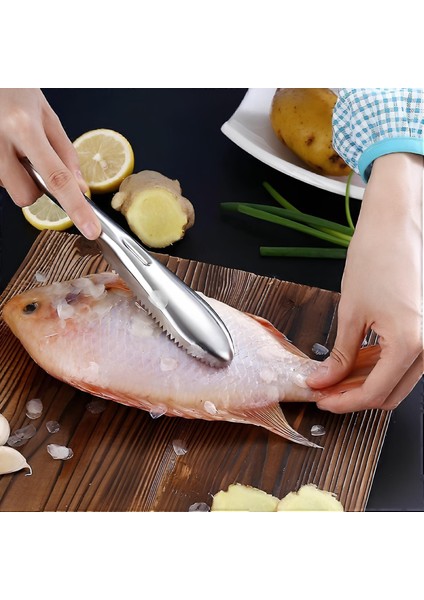 Pratik Balık Pulu Kazıyıcı Aparat fiyatları