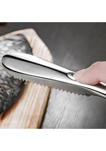 Pratik Balık Pulu Kazıyıcı Aparat modelleri