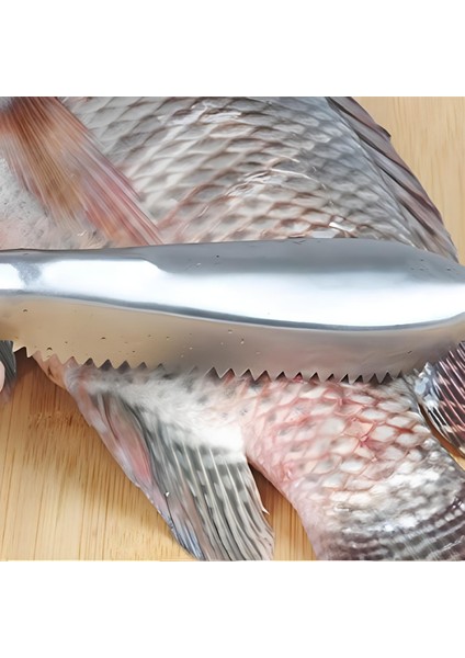 Pratik Balık Pulu Kazıyıcı Aparat