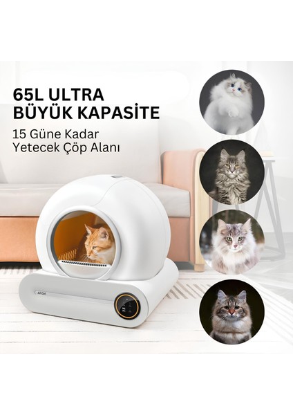 Akıllı Otomatik Kedi Tuvaleti indirimleri
