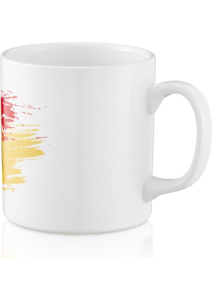 Galatasaray Aslan Mug U251121 modelleri