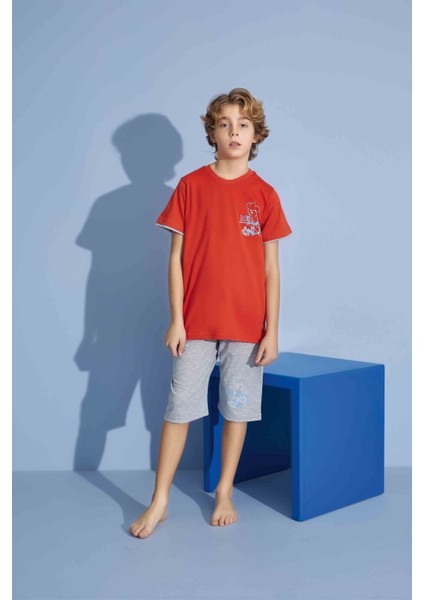 Erkek Çocuk T-Shirt Bermuda Alt Penye Süprem Bisiklet Yaka Orta Kalın Pijama TAKIMI-3930 fiyatları