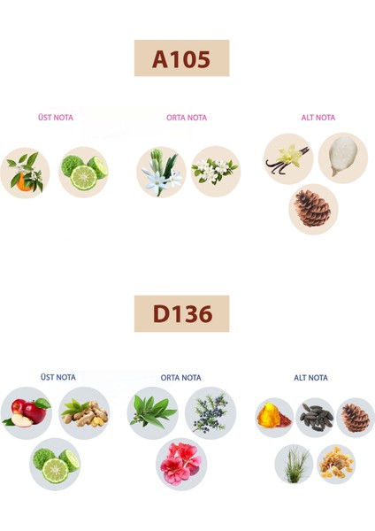 BACERA PERFUME Bacera A105 Floral Kadın Parfüm 50ML Edp D136 Oriental Erkek Parfüm 50ML Edp fiyatları