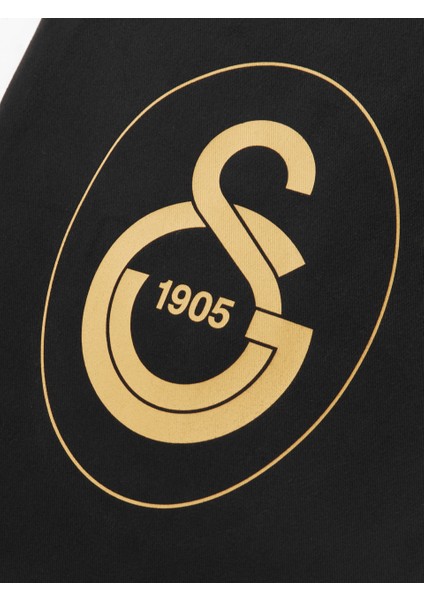 Galatasaray Gs Logolu Gabardin Bez Torba Çanta 35*40CM U251332 modelleri