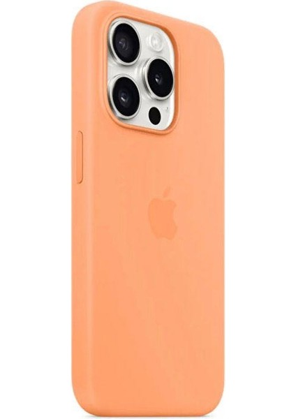 15 Pro Max Kılıf fiyatları