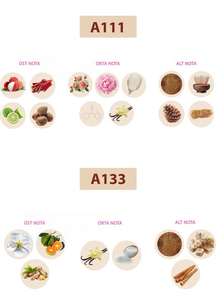 Bacera A111 Floral Kadın Parfüm 50ML Edp A133 Floral Kadın Parfüm 50ML Edp fiyatları