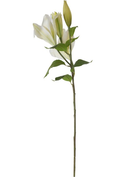 ZARİF ZAMBAK ÇİÇEĞİ BEYAZ 75CM fırsatları