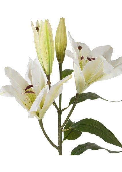 ZARİF ZAMBAK ÇİÇEĞİ BEYAZ 75CM indirimleri