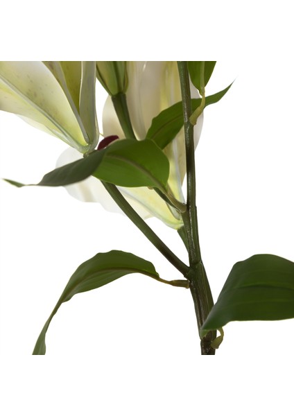 ZARİF ZAMBAK ÇİÇEĞİ BEYAZ 75CM