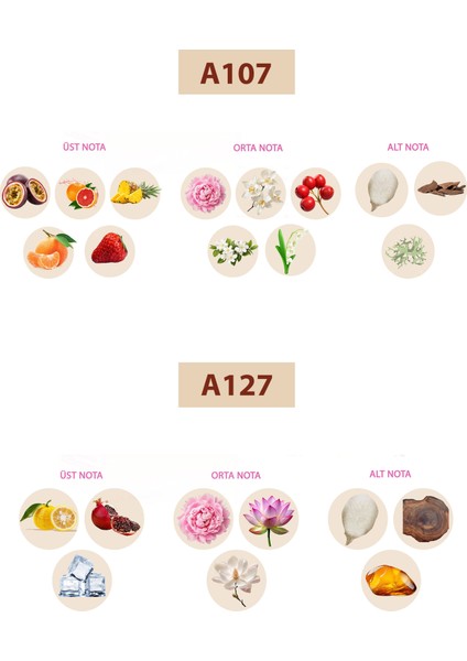 Bacera A107 Floral Kadın Parfüm 50ML Edp A127 Floral Kadın Parfüm 50ML Edp fiyatları