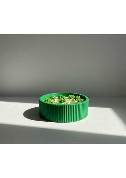 Sukulent Kase Mum fiyatları