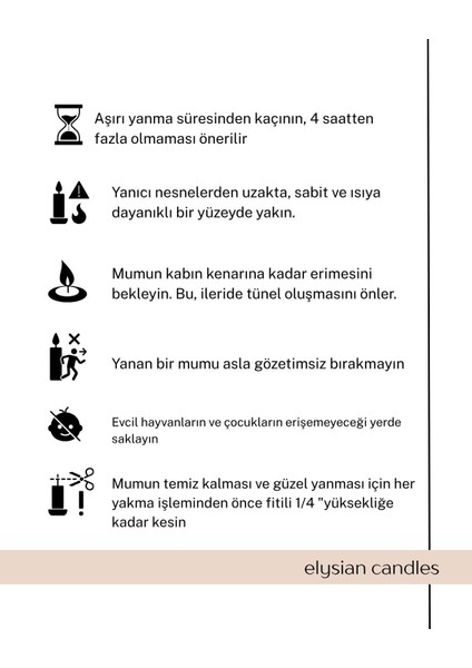 Sukulent Kase Mum fırsatları