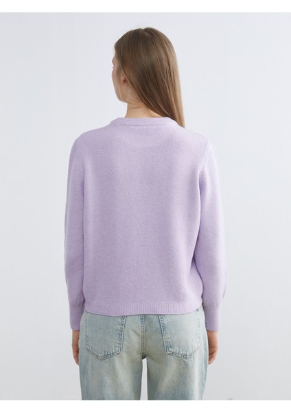 Yeni Sezon Bisiklet Yaka Kadın Triko Kazak fırsatları